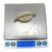 Пельменный аппарат JGL 160 (A) Foodatlas ECO