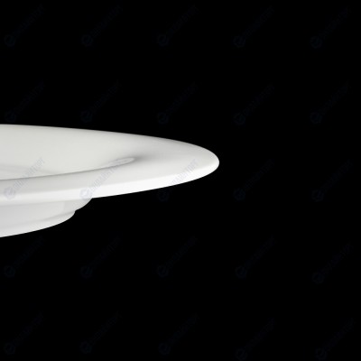 ТАРЕЛКА с полями 8,5'' 215мм 