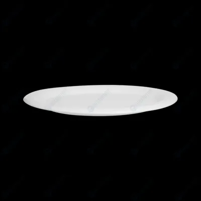 БЛЮДО овальное с полями 10''х8'' 250х200мм 