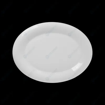 БЛЮДО овальное с полями 10''х8'' 250х200мм 