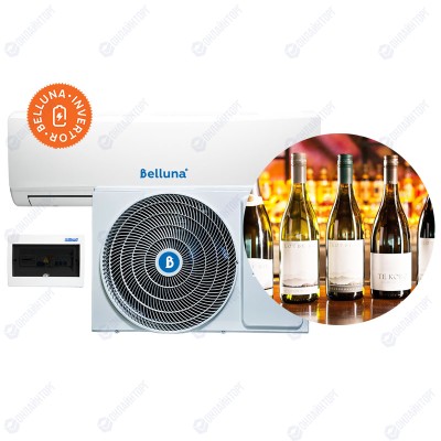 Вино Инвертор. Belluna S226i