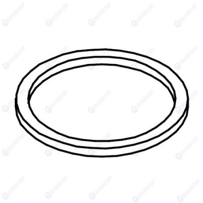 Прокладка Ø26XØ21X2 PTFE, Sanremo арт. 10054460