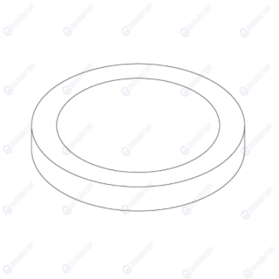 Прокладка ПТФЭ D55X41,8X4 VO UL94, Sanremo, арт.10502045
