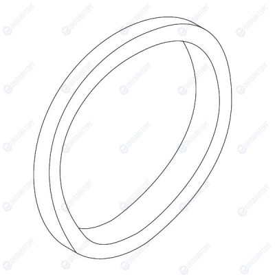 Уплотнительное кольцо нагревательного элемента PTFE D49, Sanremo, арт.10502015