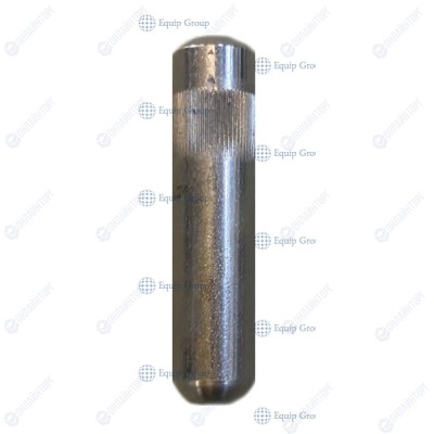 ШТИФТ ЦИЛИНДРИЧЕСКИЙ ДЛЯ МИКСЕРА APACH APL60/APL40