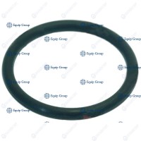 КОЛЬЦО УПЛОТНИТЕЛЬНОЕ APACH CGR4131NT