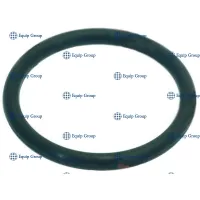 КОЛЬЦО УПЛОТНИТЕЛЬНОЕ APACH CGR4131NT
