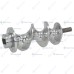 ШНЕК ДЛЯ МЯСОРУБКИ APACH TS12 F2122