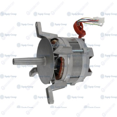 МОТОР РАБОЧЕЙ КАМЕРЫ LAINOX LAR65040530
