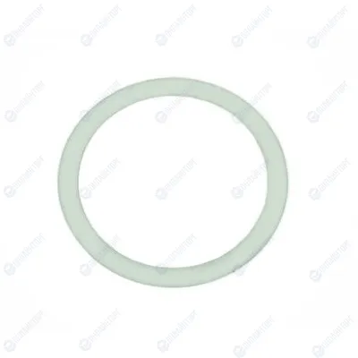 УПЛОТНЕНИЕ ДЛЯ ЛЬДОГЕНЕРАТОРА APACH COOK LINE ACB2806B