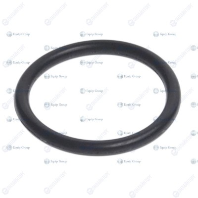 УПЛОТНЕНИЕ APACH 456073